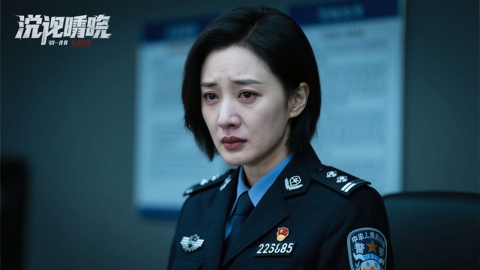 手机应用界面与安装步骤示意